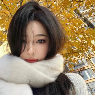 挪威的抵抗